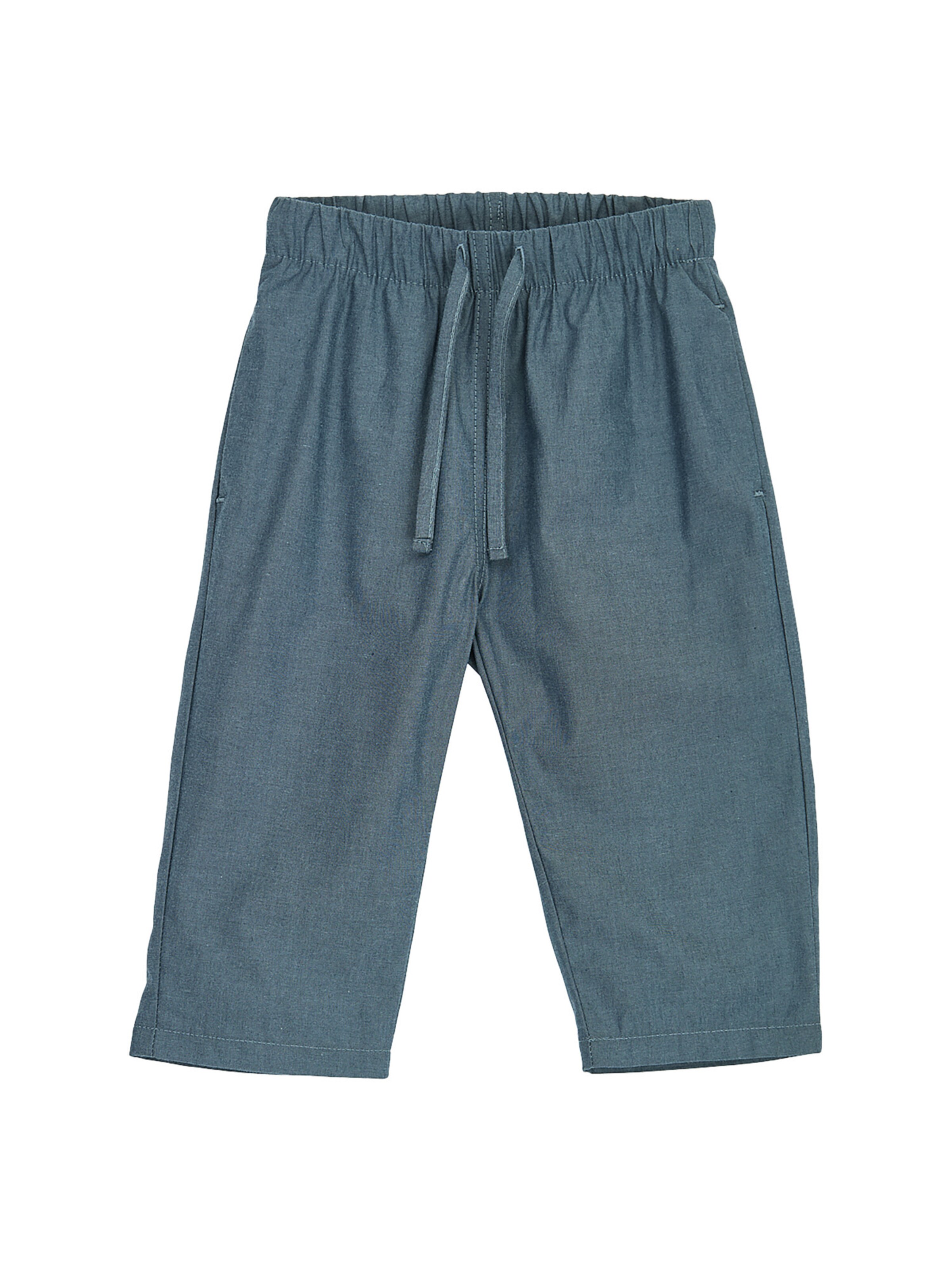 Müsli by GREEN COTTON Regular Trousers in Blue: front