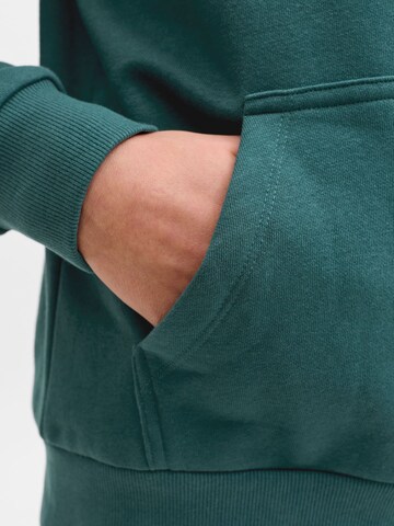 Felpa 'JJECaleb' di Jack & Jones Junior in verde