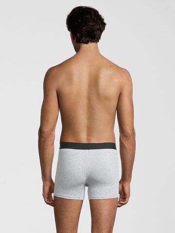 Albert Schäfer Boxershorts in Grau