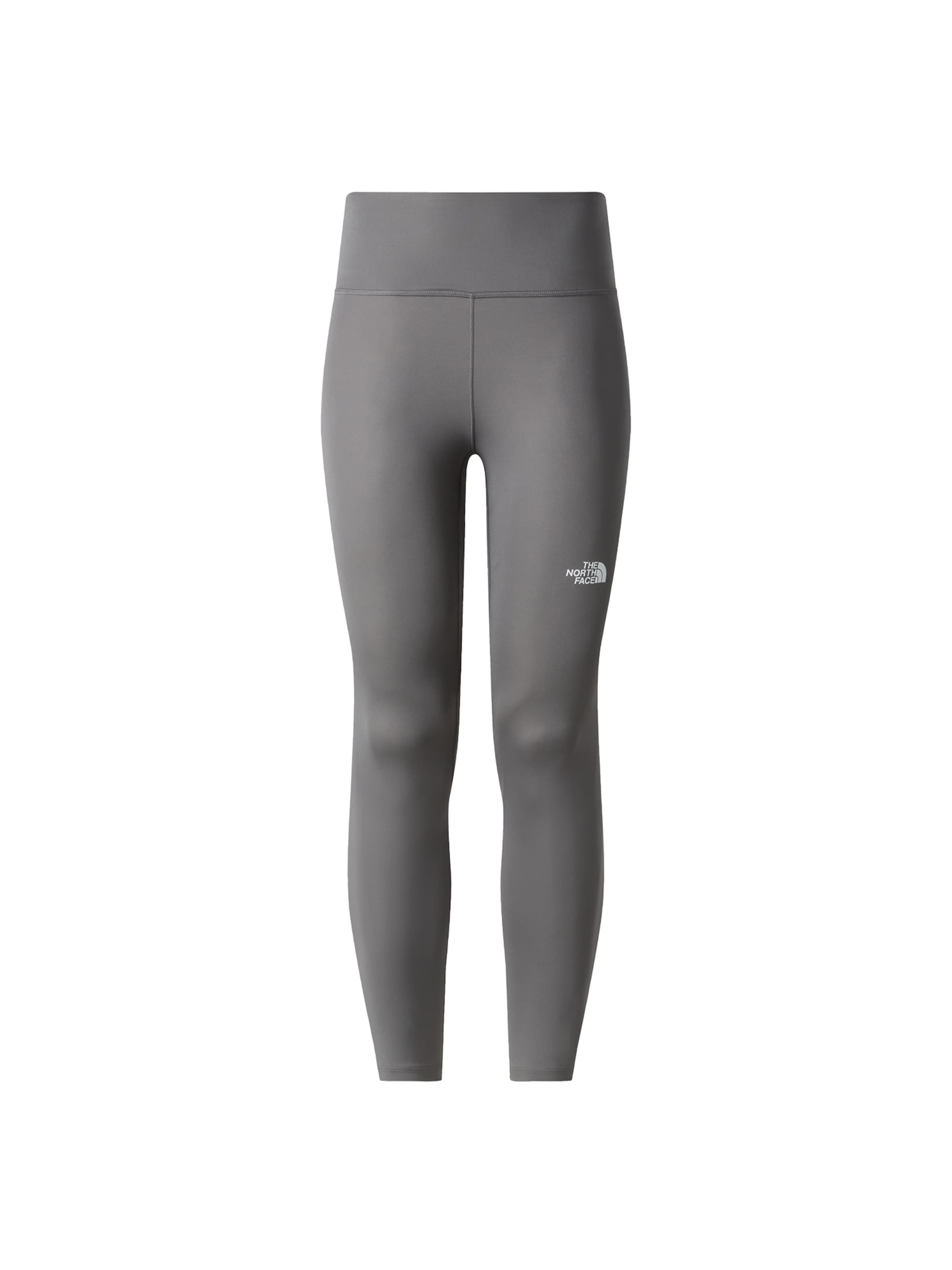 THE NORTH FACE Скинни Спортивные штаны 'Flex' в Серый: спереди