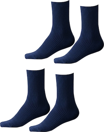 Millo Socks 'Cosy Steps' in Blue: front