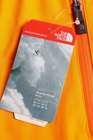THE NORTH FACE Pants in 31-32 in Orange