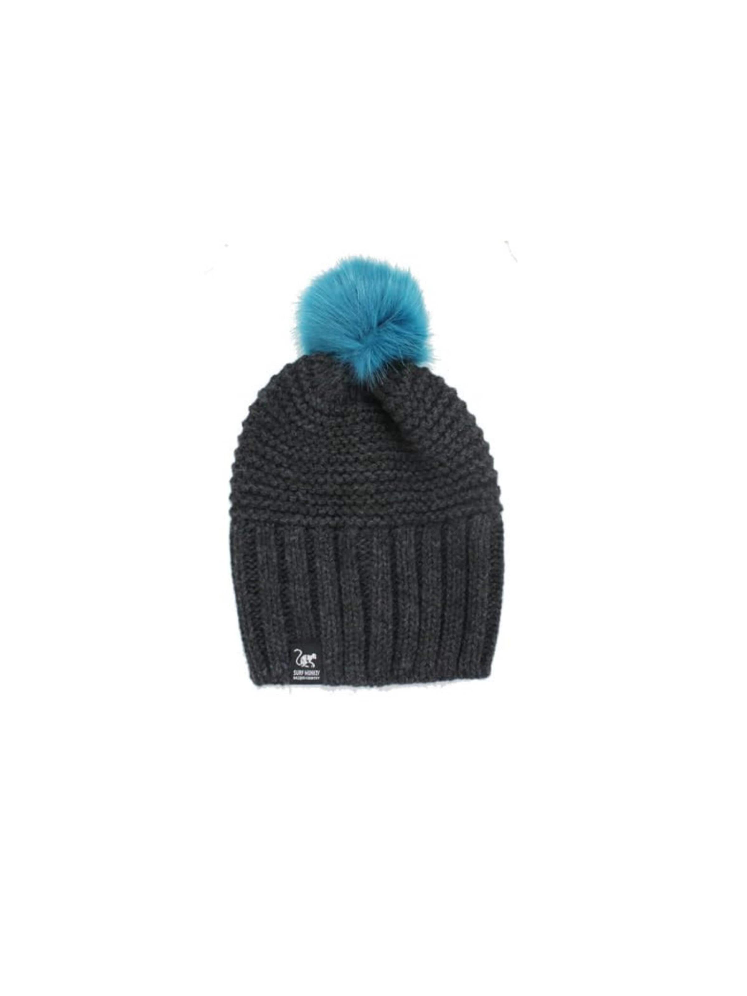 Surf Monkey Beanie in Grey: front