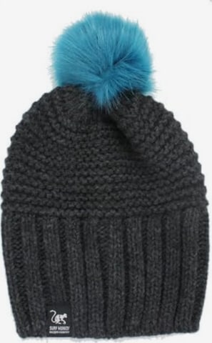 Surf Monkey Beanie in Grey: front