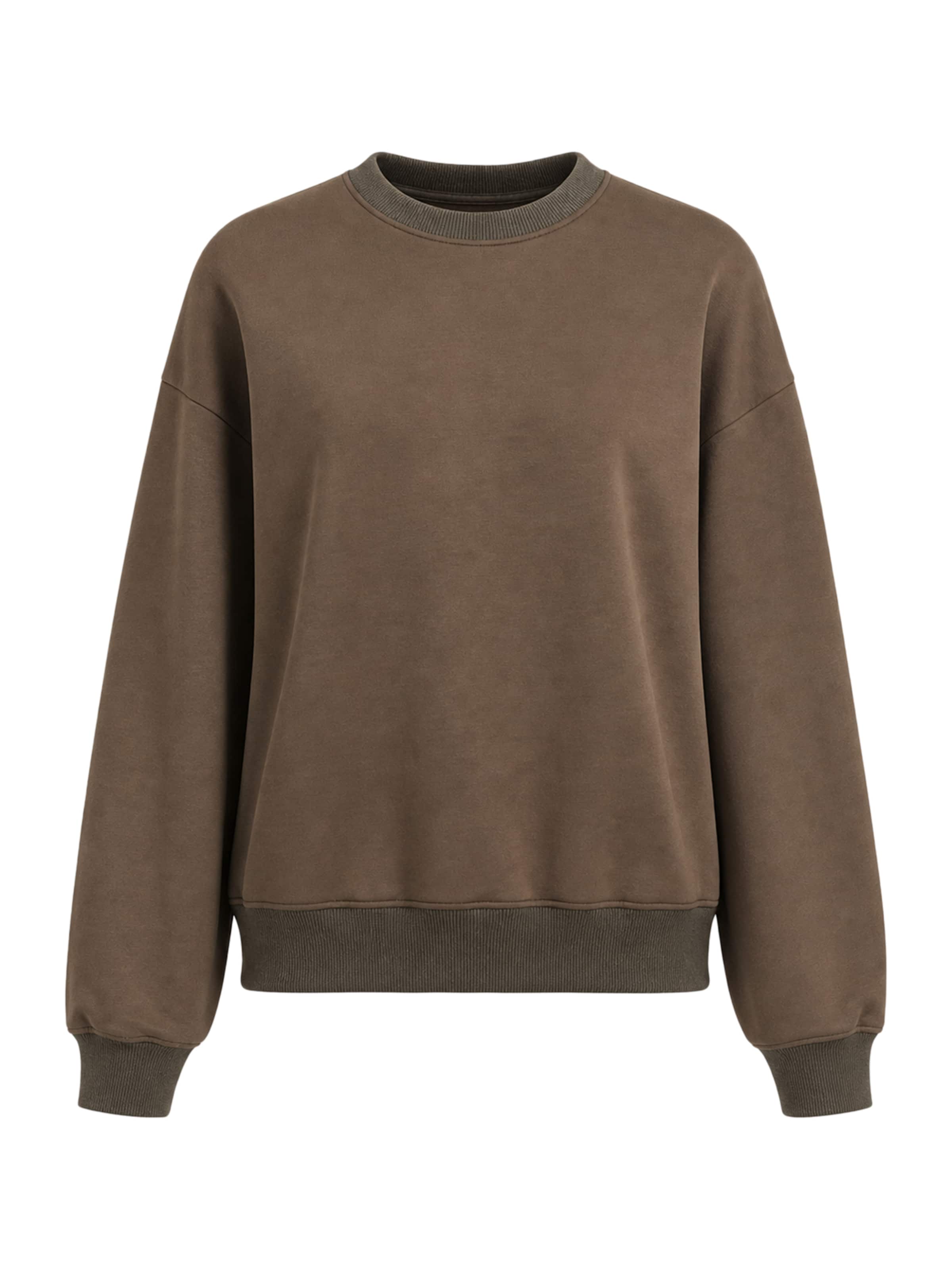 BRAVE SOUL Sweatshirt in Braun: Vorderseite