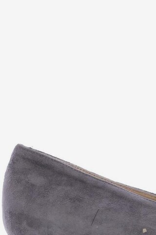 Elegance Paris Flats & Loafers in 37 in Grey