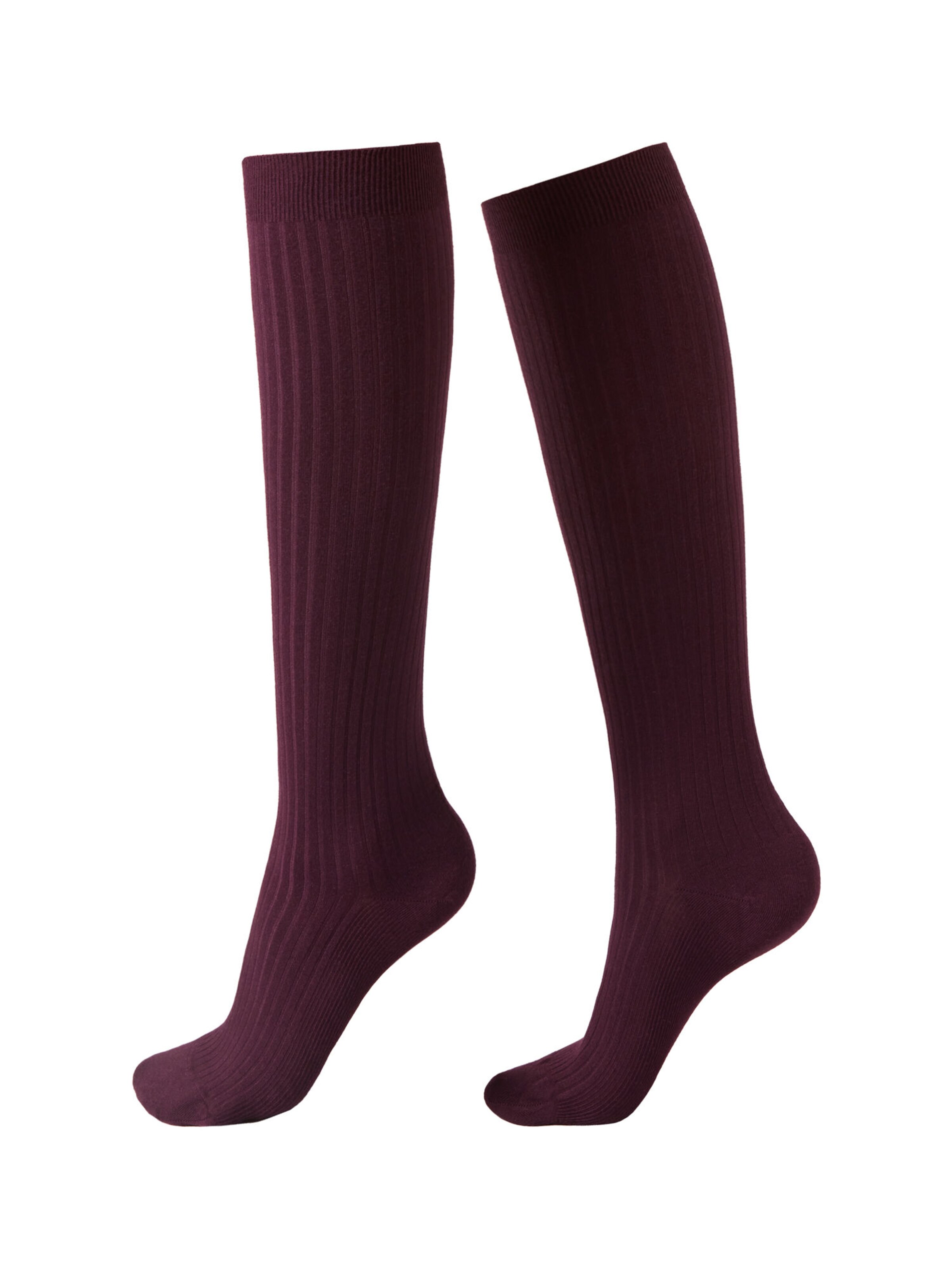 CALZEDONIA Socken in Rot: Vorderseite