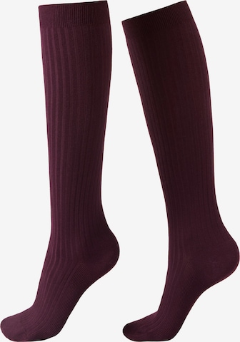 CALZEDONIA Socken in Rot: Vorderseite