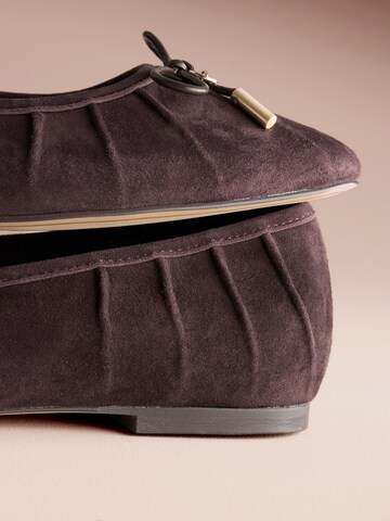 B by Ted Baker Ballerina in Bruin