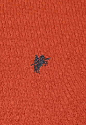 DENIM CULTURE Trui 'Giotto' in Oranje