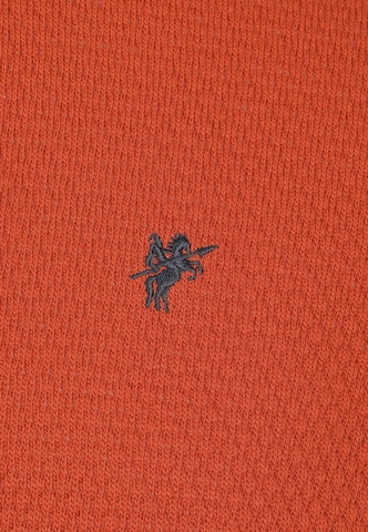 DENIM CULTURE Sweater 'Giotto' in Orange