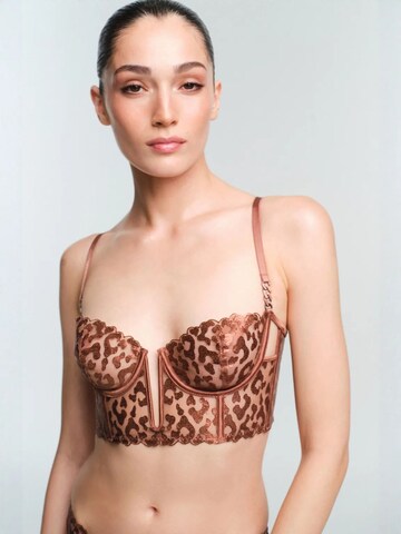 PentiBustier Grudnjak 'BHs & Bralettes' - smeđa boja: prednji dio