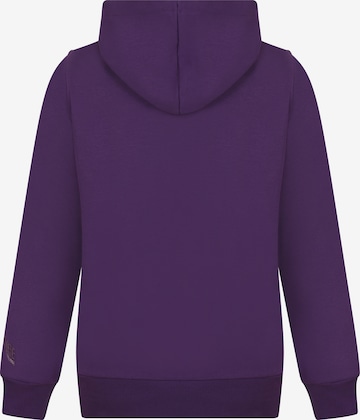 DENIM CULTURE Sweatshirt 'Zenaida' in Purple