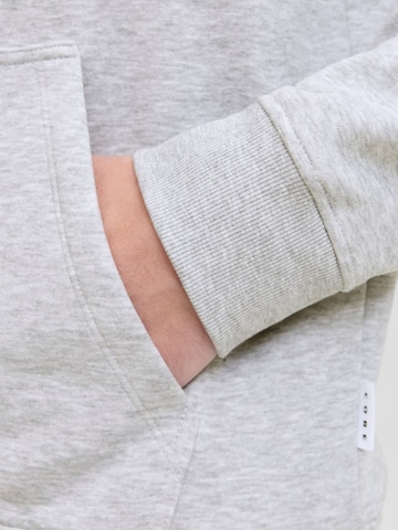 JACK & JONES Trui in Grijs