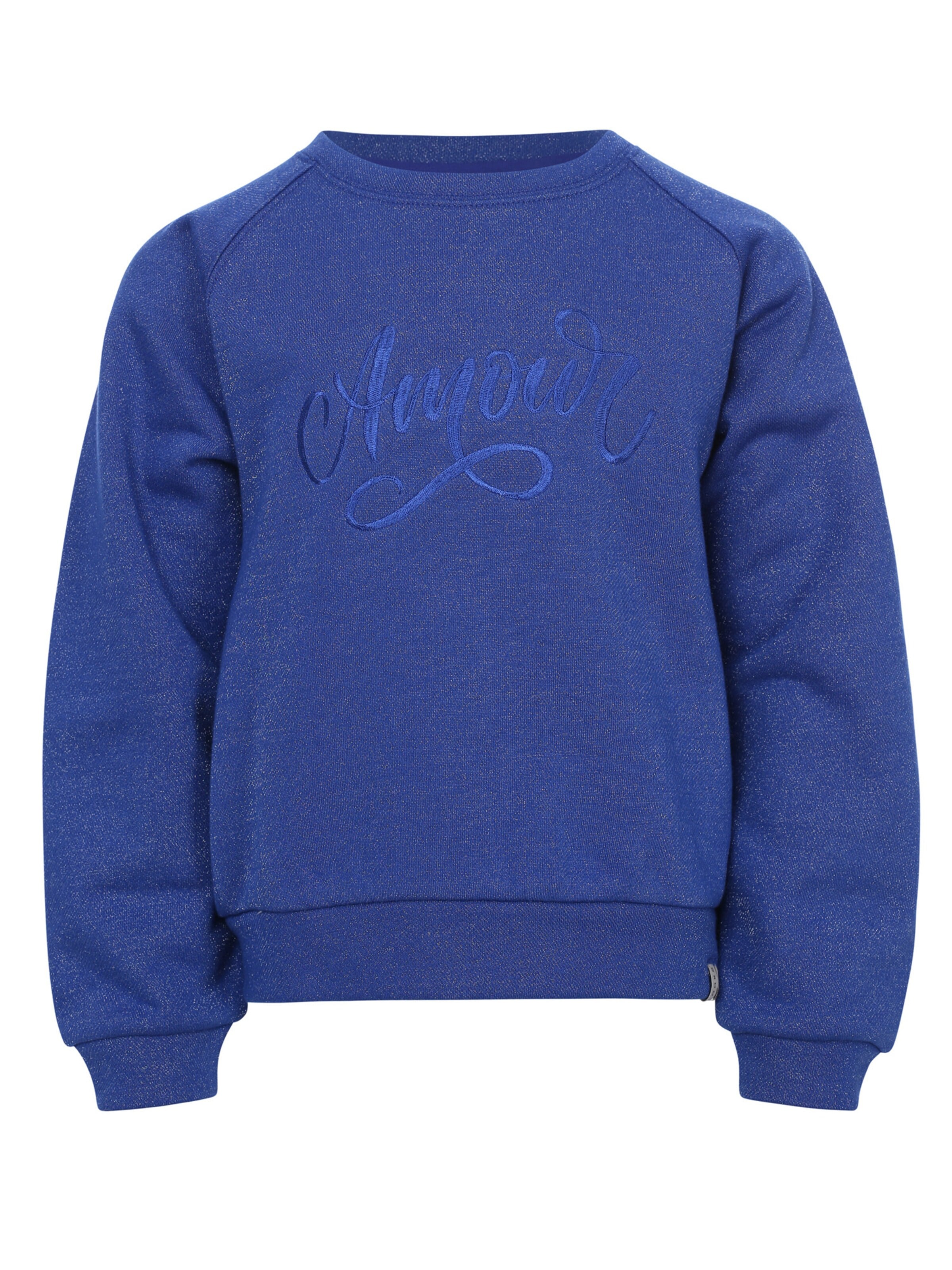 Looxs Revolution Sweatshirt in Blue: front