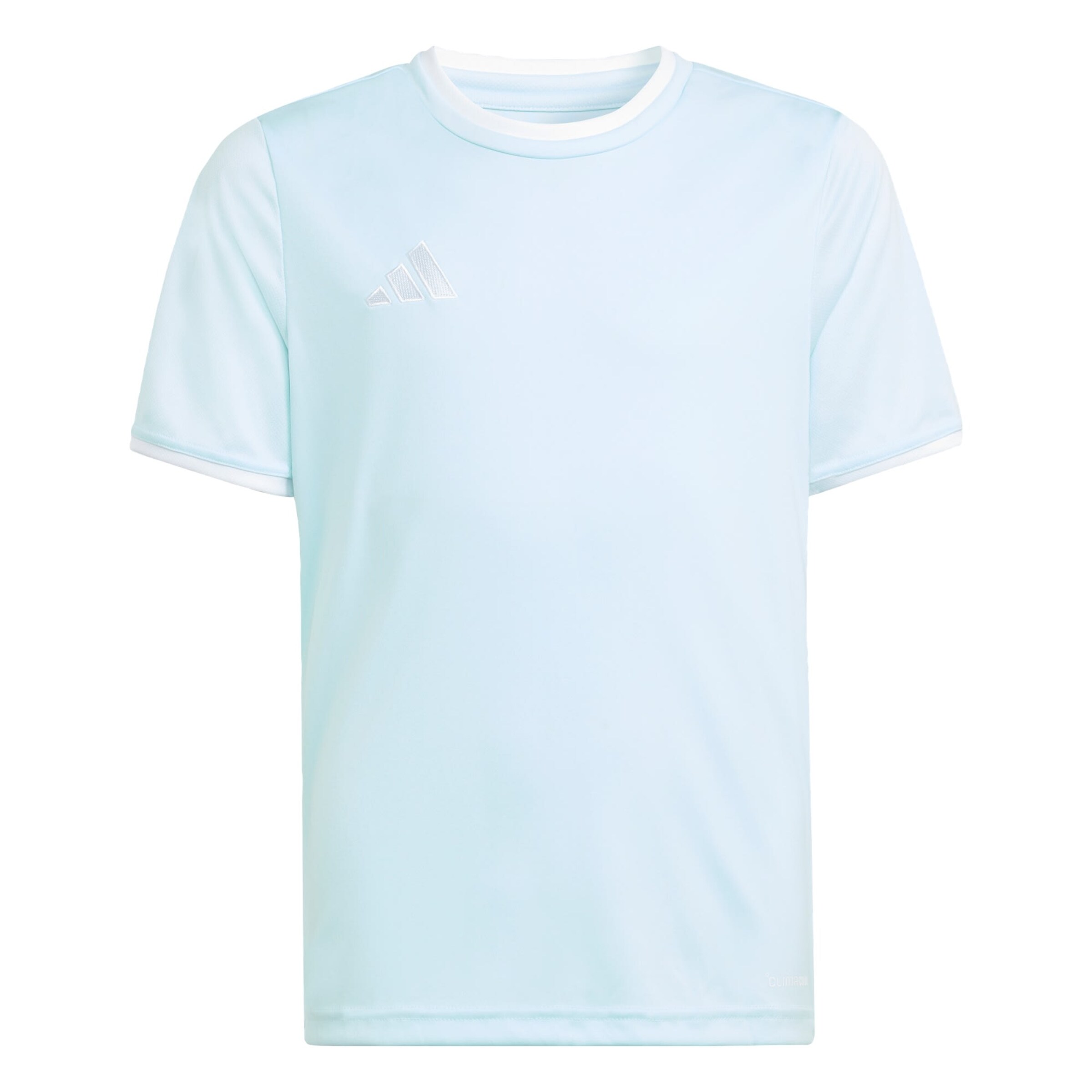 ADIDAS PERFORMANCE - Camisa funcionais 'Entrada26' em azul: frente