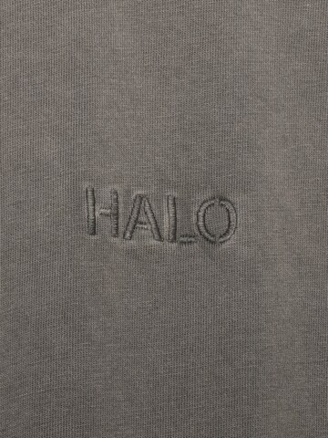 HALO Shirt in Grijs