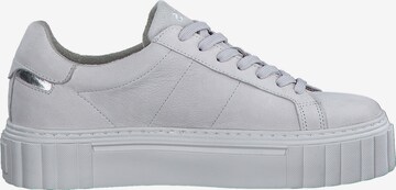 Baskets basses TAMARIS en gris