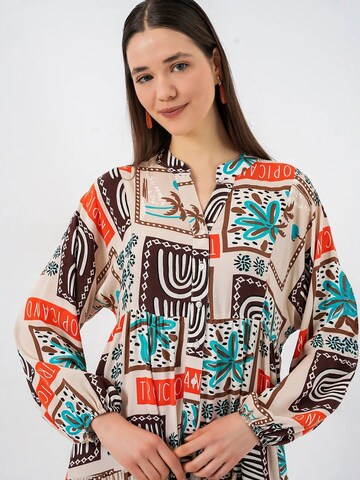 Bigdart Dress in Brown