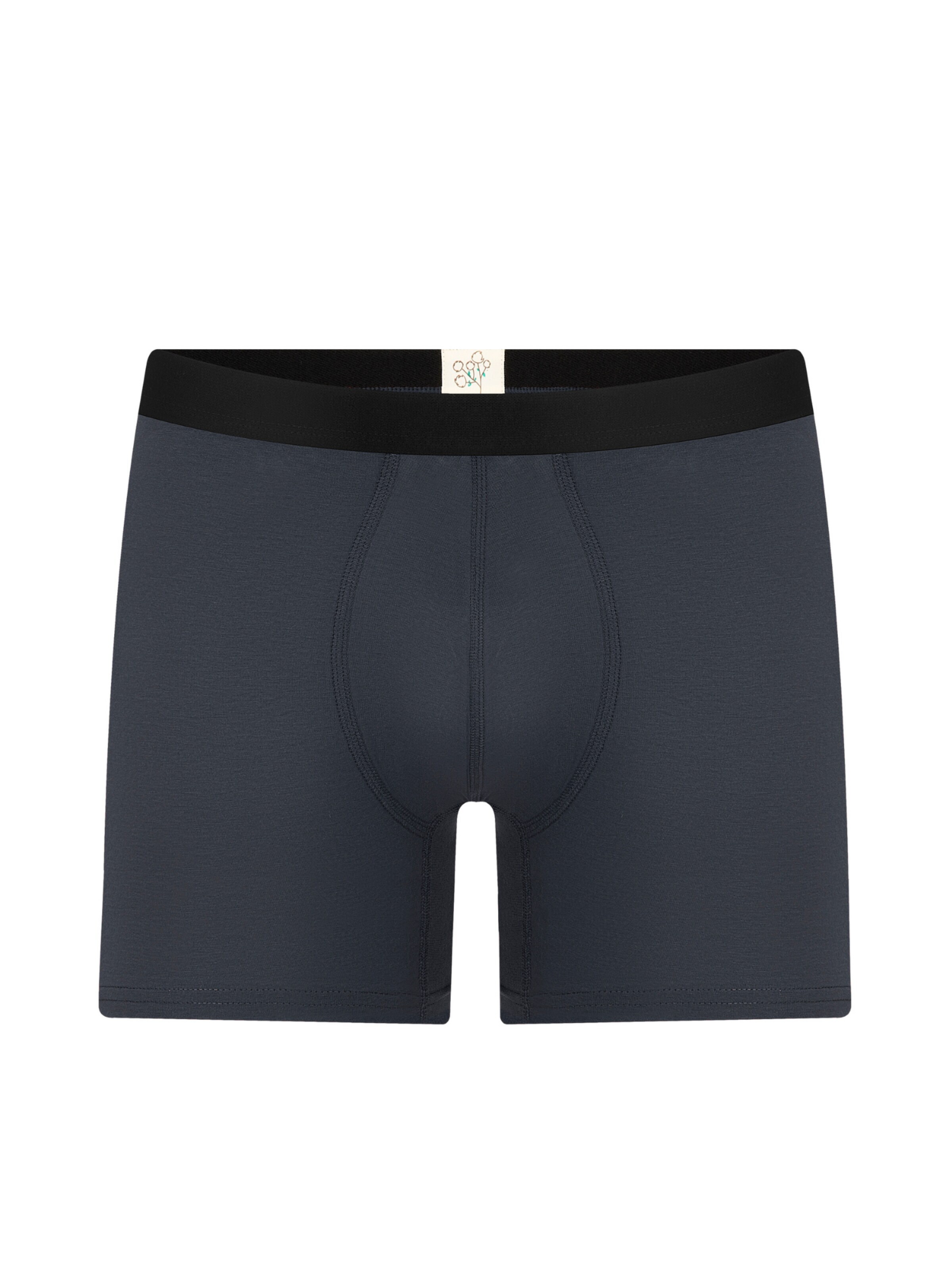 Albero Natur Long Johns 'Bio-Baumwoll-Herren Long Trunks' in Grey: front