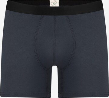 Albero Natur Long Johns 'Bio-Baumwoll-Herren Long Trunks' in Grey: front