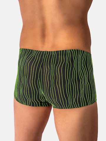 Manstore Boxer shorts ' M2615 Micro Pants ' in Black