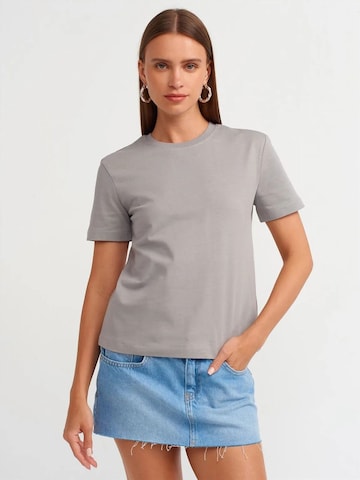 T-shirt Dilvin en gris : devant