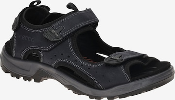 ECCO Sandal 'Offroad' in Black: front