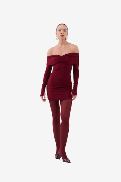 HOLLY LOLLY Kleid in 40 in burgunder, Produktansicht