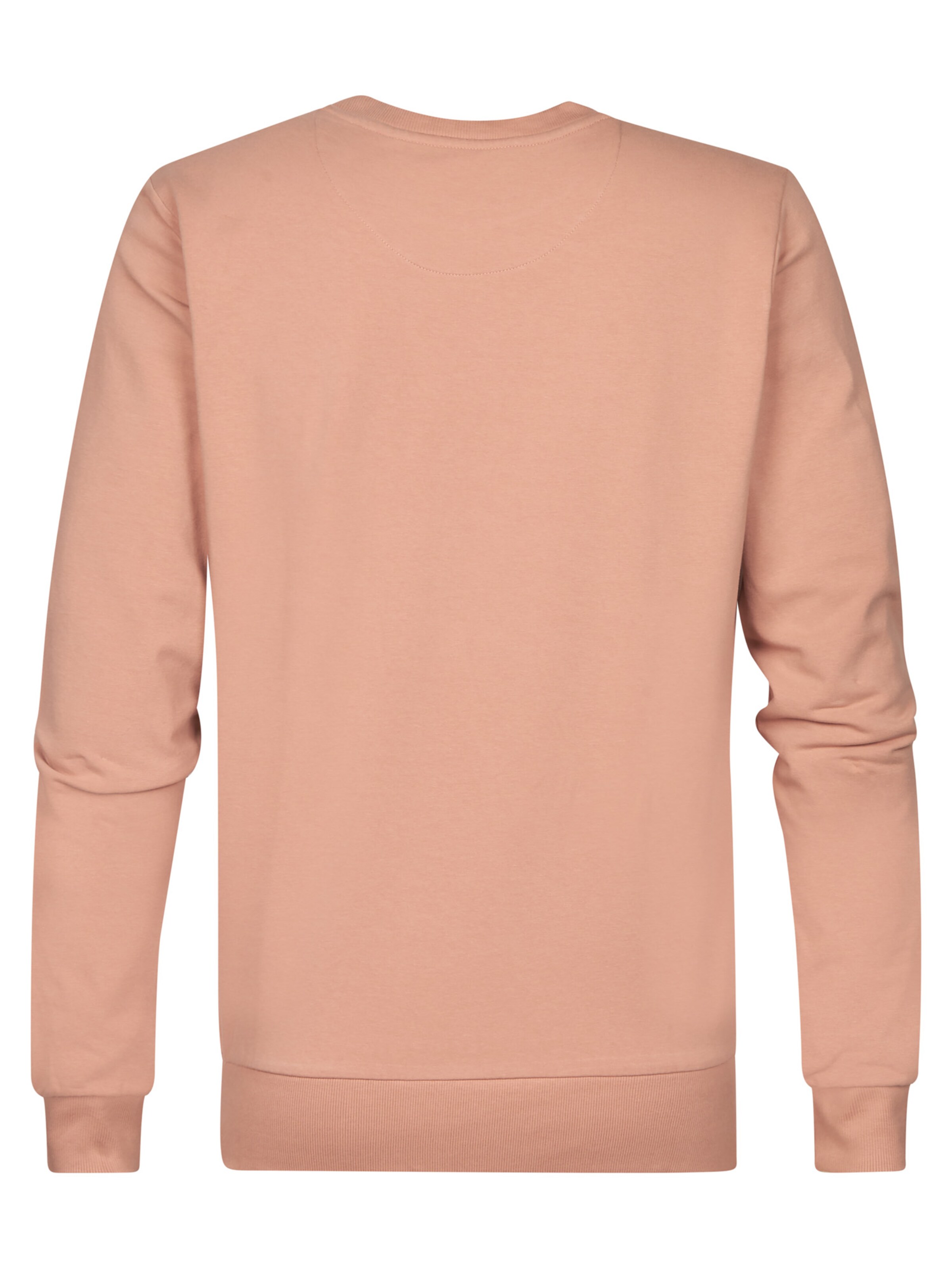 Sweat-shirt 'Seaviewpark' Petrol Industries en marron