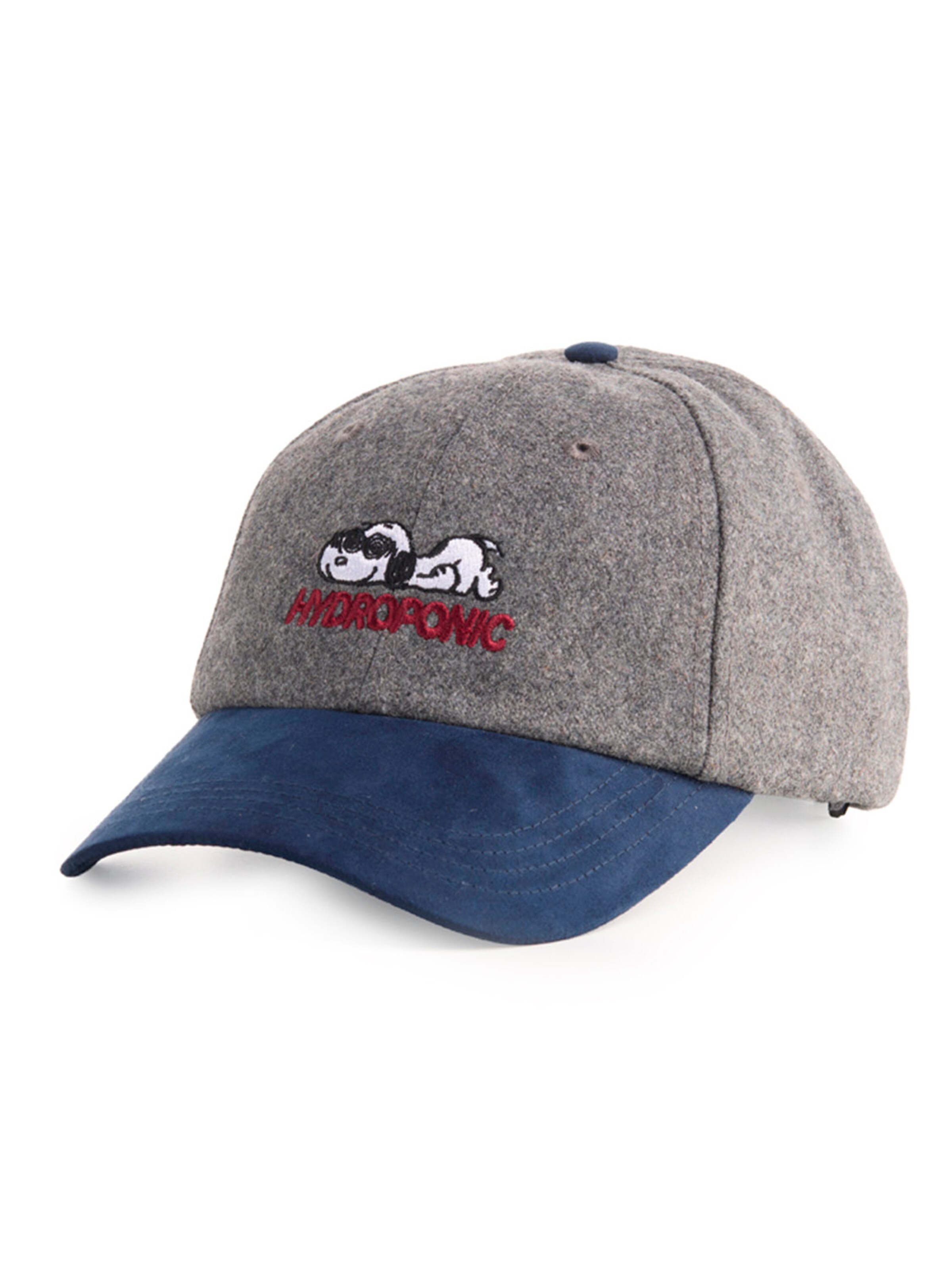 hydroponic - Gorra deportiva 'Hydroponic x Peanuts Obsessed Cap' en gris