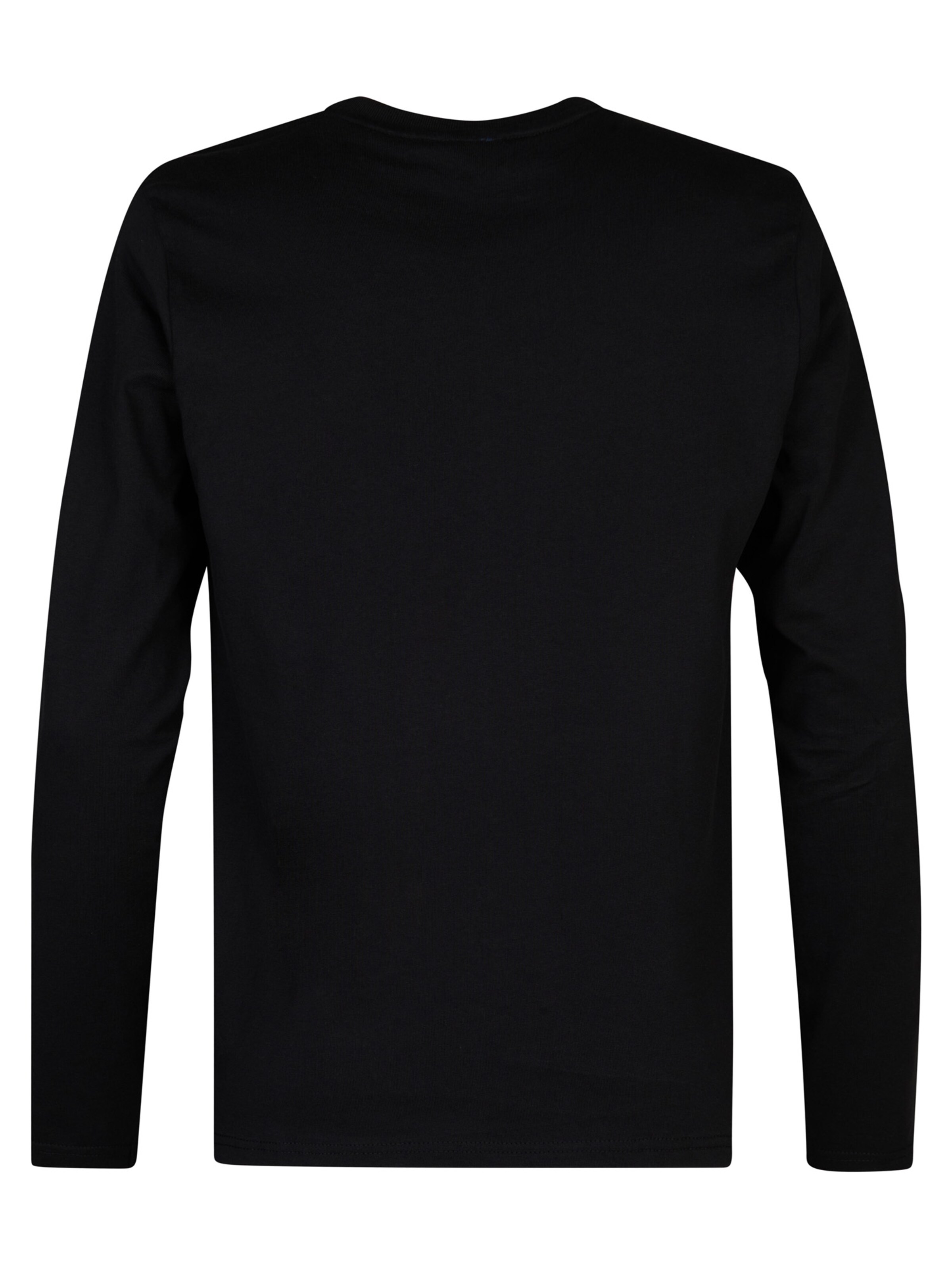 Petrol Industries Футболка 'Dolphinpark' в Черный