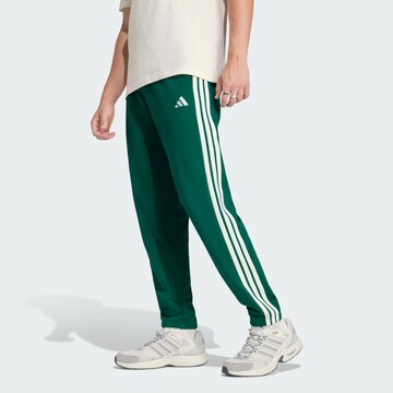 Effilé Pantalon de sport 'Essentials' ADIDAS SPORTSWEAR en vert : devant