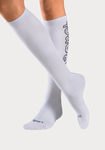 BENCH Athletic Socks in White: front