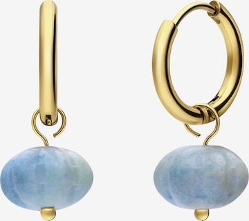 Lucardi Oorbellen in Goud: voorkant