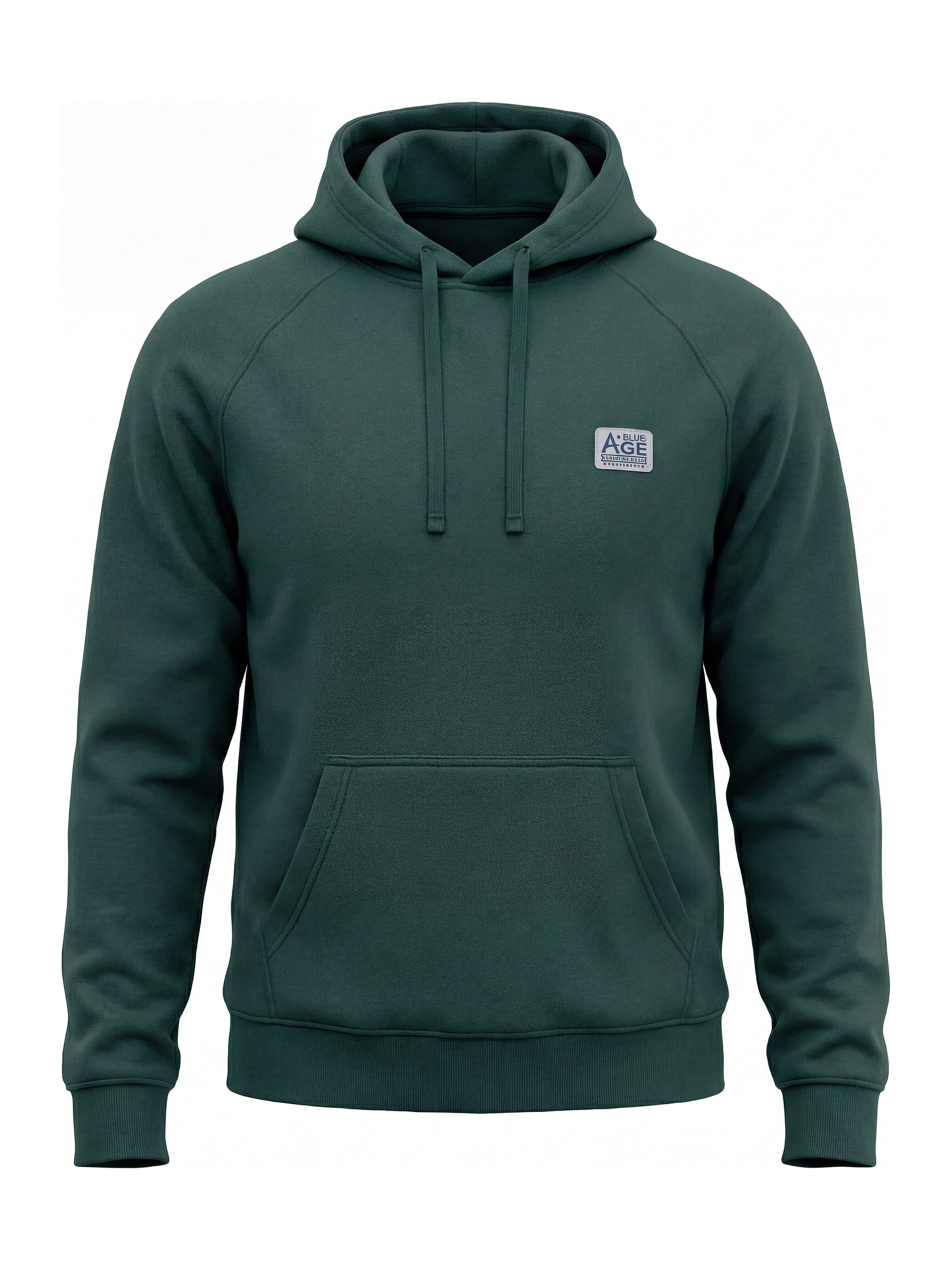 Carrera Jeans Sweatshirt 'Replica Hoodie' in Green: front