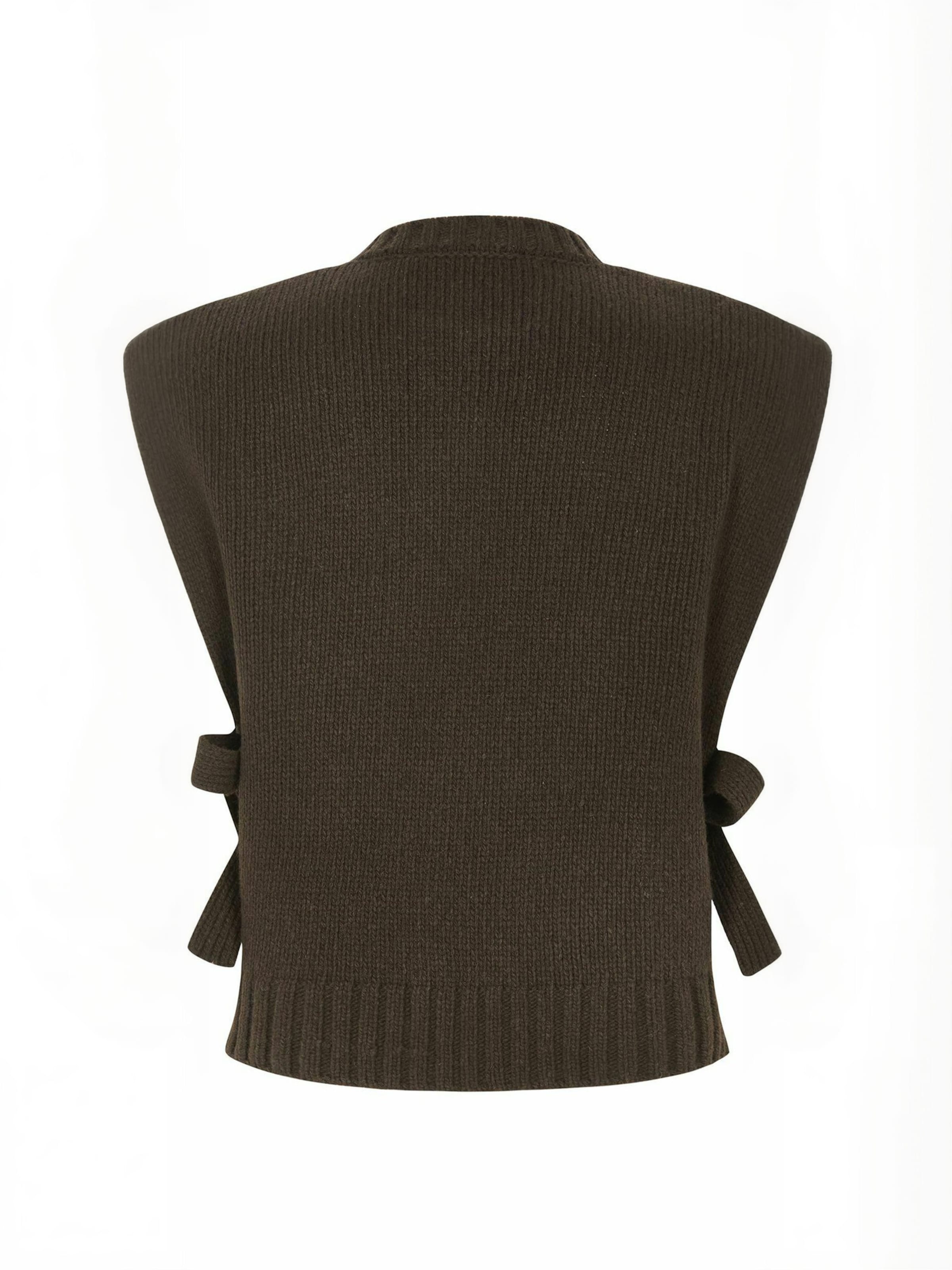 Gilet ' SRTemo ' Soft Rebels en marron : derrière