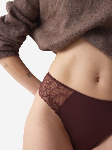 TRIUMPH Slip ' Red Label Pretty Modal ' in Brown