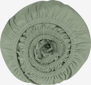 SCHIESSER Feinbiber-Spannbettlaken 'Finni' in Grün: Vorderseite