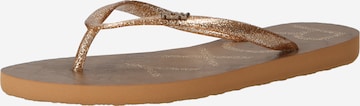 ROXY T-Bar Sandals 'VIVA' in Bronze: front