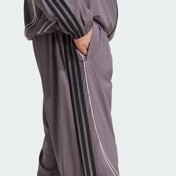 ADIDAS ORIGINALS Свободный крой Штаны 'Teamgeist Adicolor' в Серый
