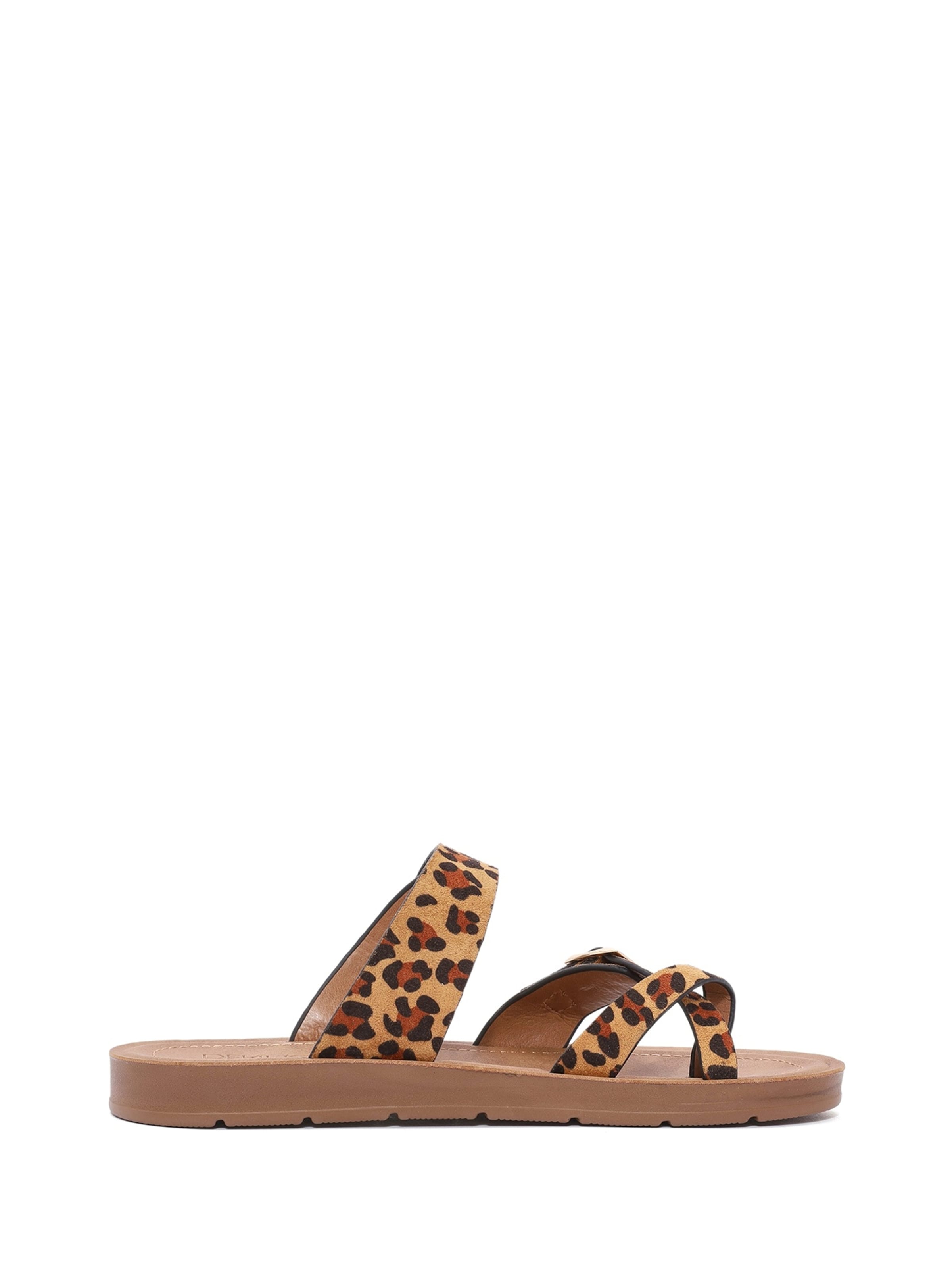 Derimod Mules in Brown