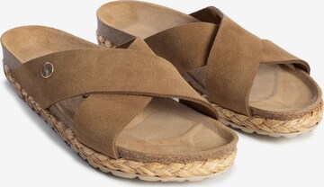 Bayton Mules 'Burgos' in Brown