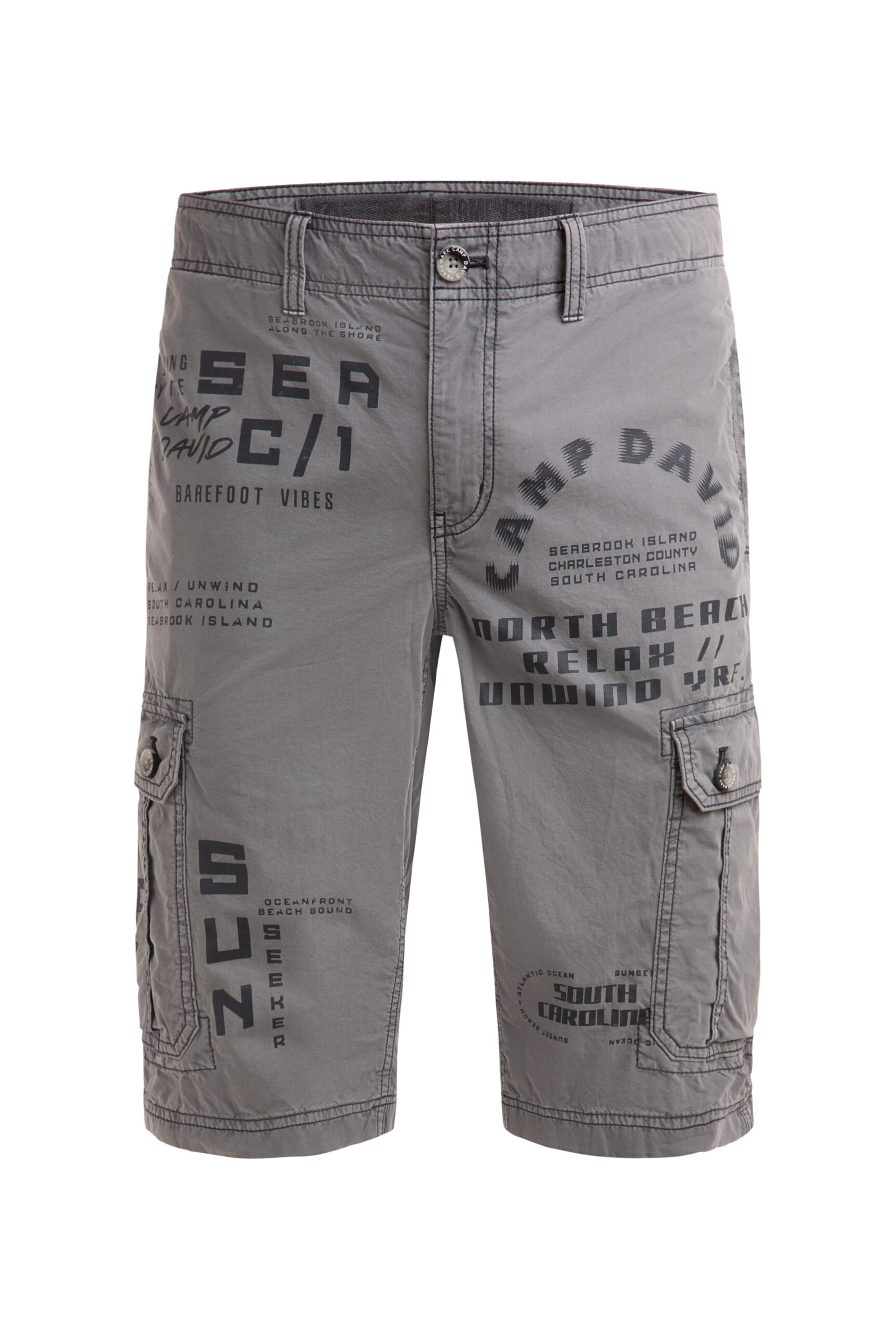 CAMP DAVID Regular Cargo Pants in Blue: front