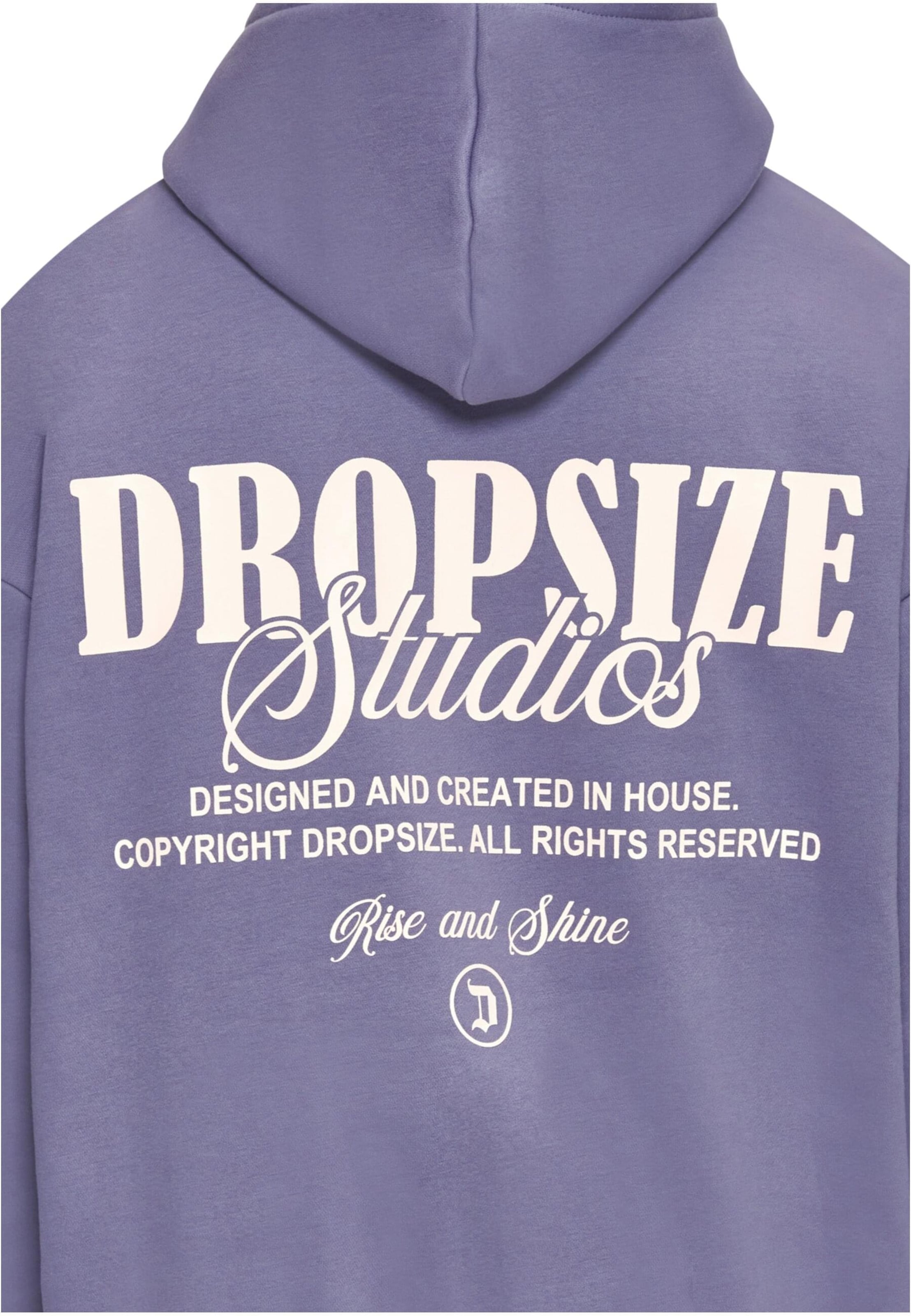 Dropsize Sweatshirt i blå