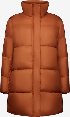 ESPRIT Winter Jacket in Brown: front