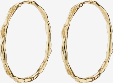 Pilgrim Earrings 'Eddy' in Gold: front