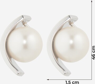 SKAGEN Earrings 'Agnethe' in Silver
