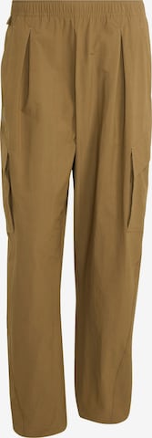 Pantalon outdoor 'Xploric' ADIDAS TERREX en marron : devant