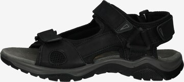 SALAMANDER Sandals 'Decio' in Black